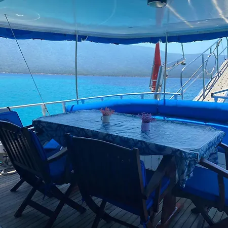 Private Boat Tours -daily -yacht Tours Botel
